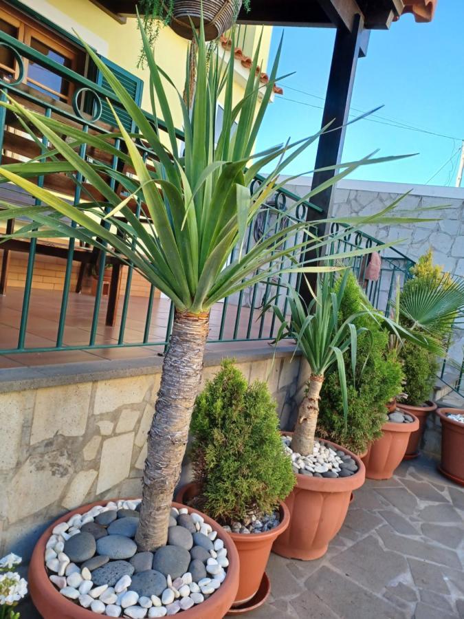 House Near Cr7 Museum Villa Funchal  Exterior photo